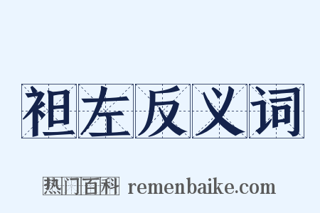 袒左反义词是什么意思的图片